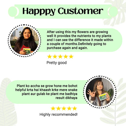 Plant Food Sticks - Organic Indoor Plant Nutrition