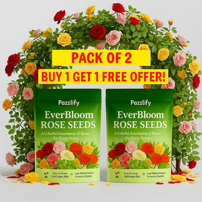 EverBloom Climbing Roses Seeds