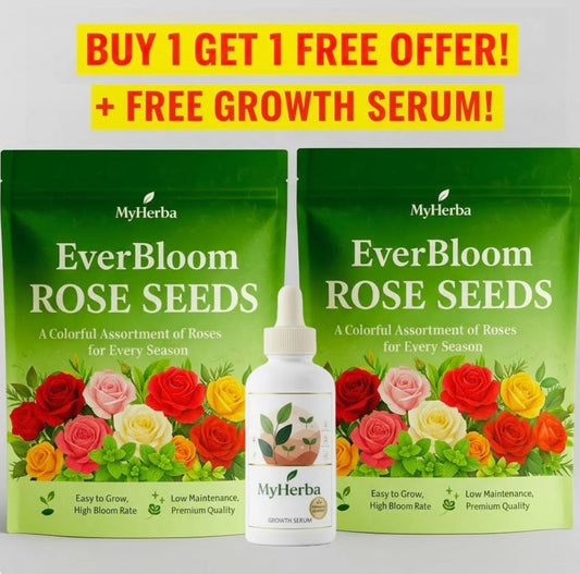 EverBloom Climbing Roses Seeds