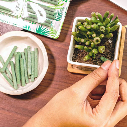 Plant Food Sticks - Organic Indoor Plant Nutrition