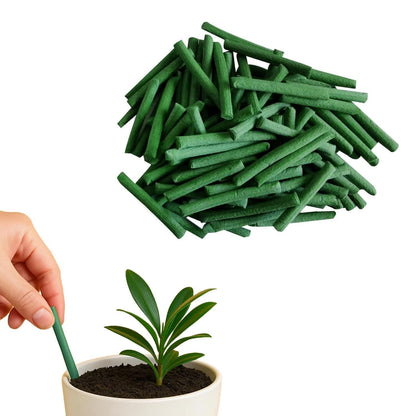 Plant Food Sticks - Organic Indoor Plant Nutrition