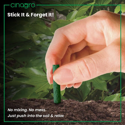 Plant Food Sticks - Organic Indoor Plant Nutrition