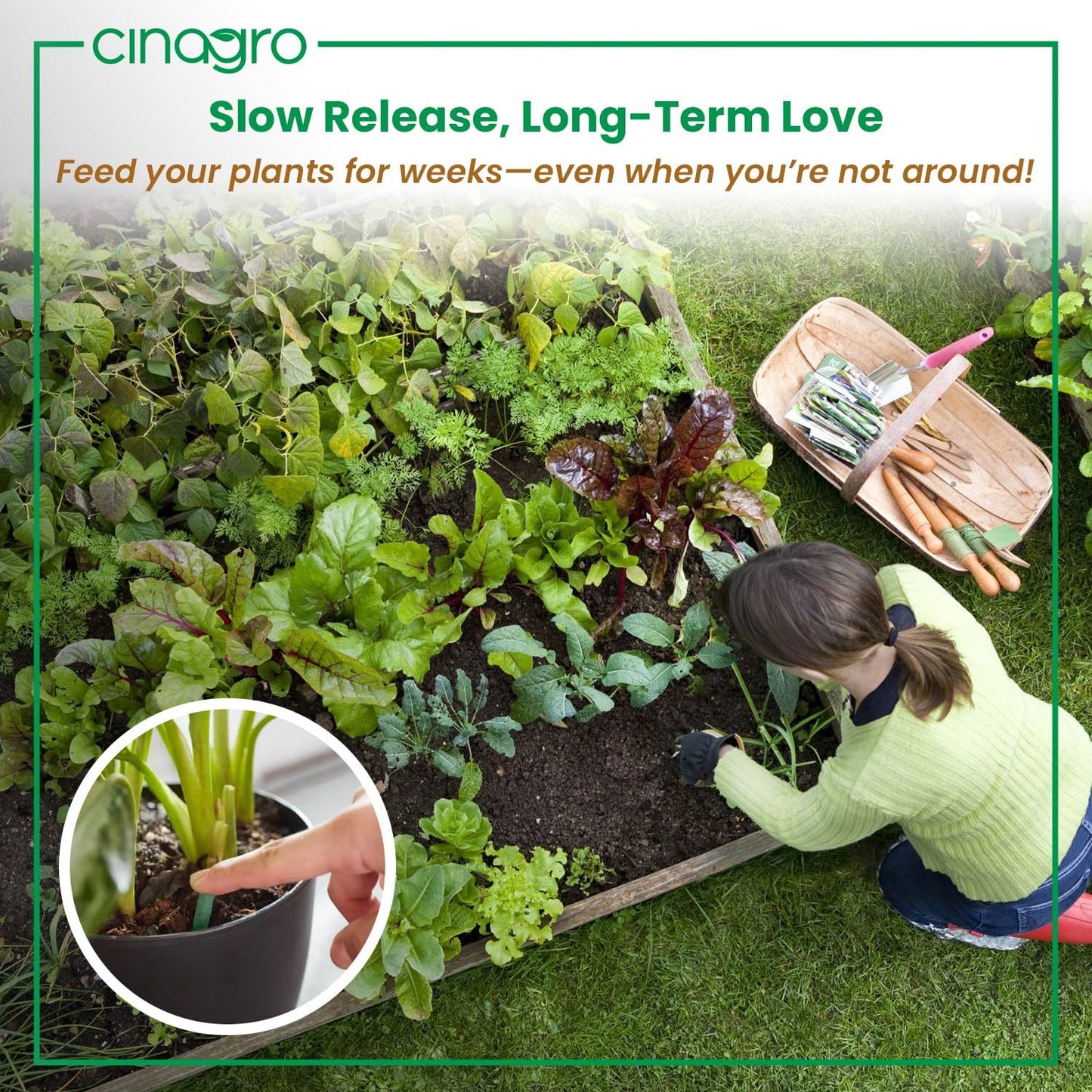 Plant Food Sticks - Organic Indoor Plant Nutrition