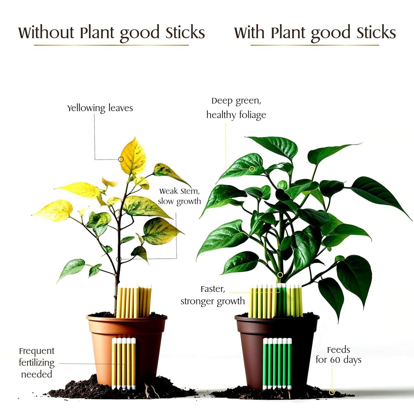 Plant Food Sticks - Organic Indoor Plant Nutrition